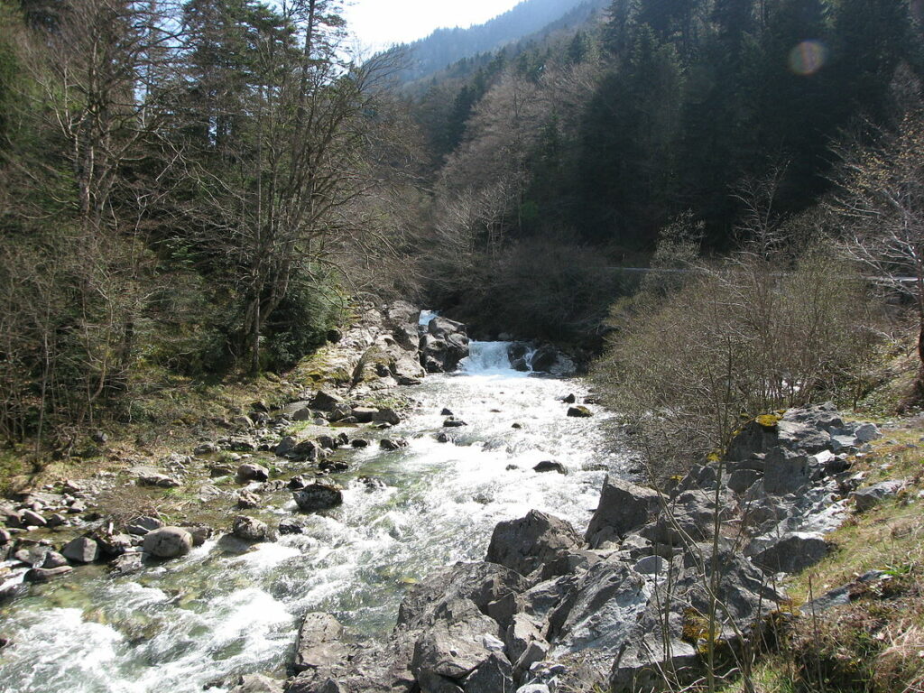 Poème : “Fluviales eaux d’ici” de Serge Mas