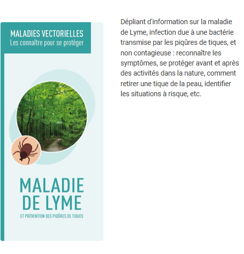 Maladie de Lyme et prévention des piqûres de tiques