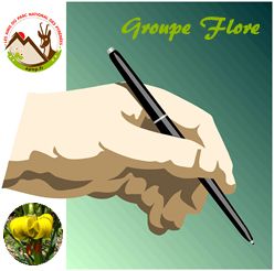 Groupe flore – CR du 20.04.2023