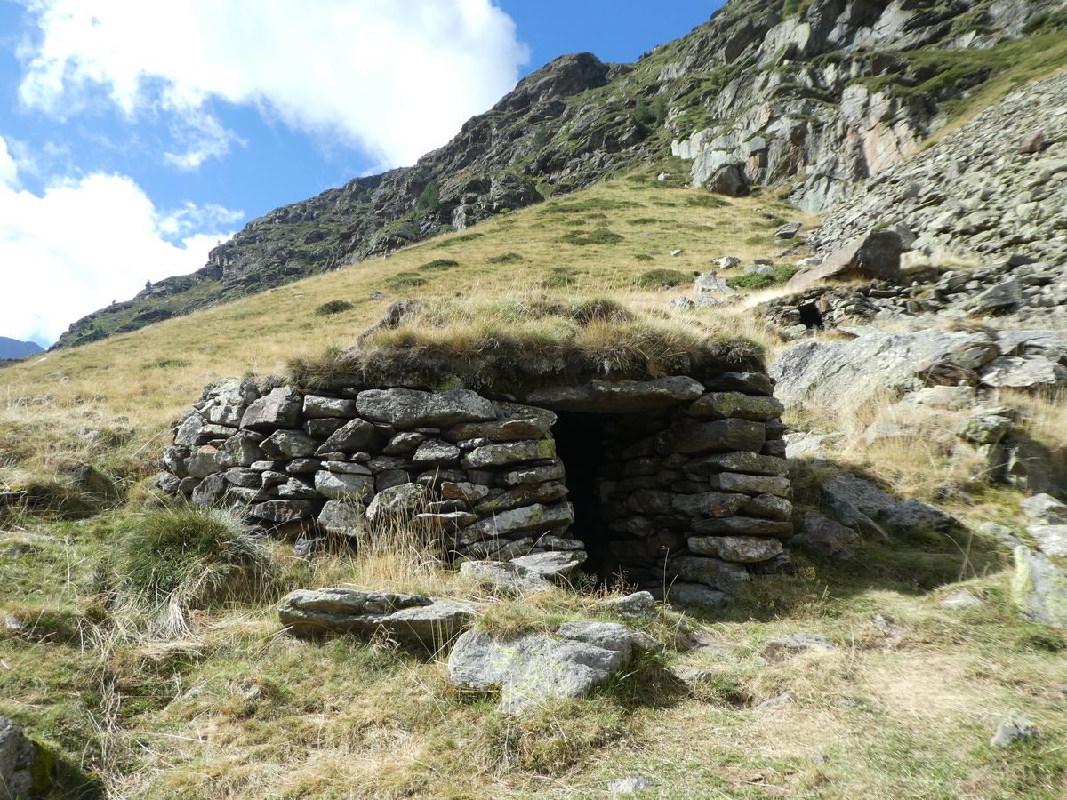 13-09-2023 Photos F. Daligaux – J2 Orris du Carla à Soulcem et ferme des lamas à Saleix avec les Amis du Parc naturel régional des Pyrénées ariégeoises