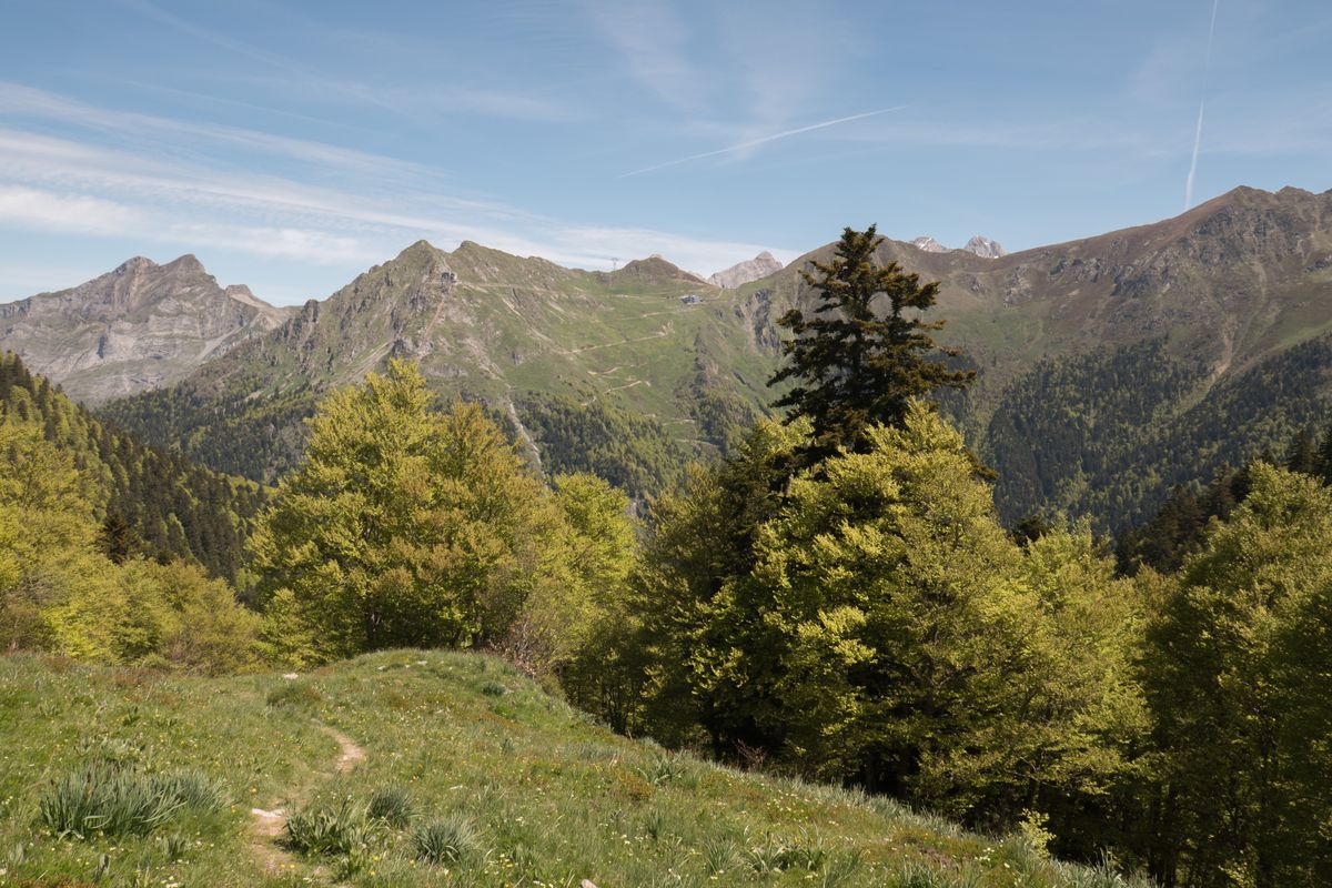 25-05-2025 Photos M. Castelain – Cabane de Chérue avec A. Pourtau et M. Castelain