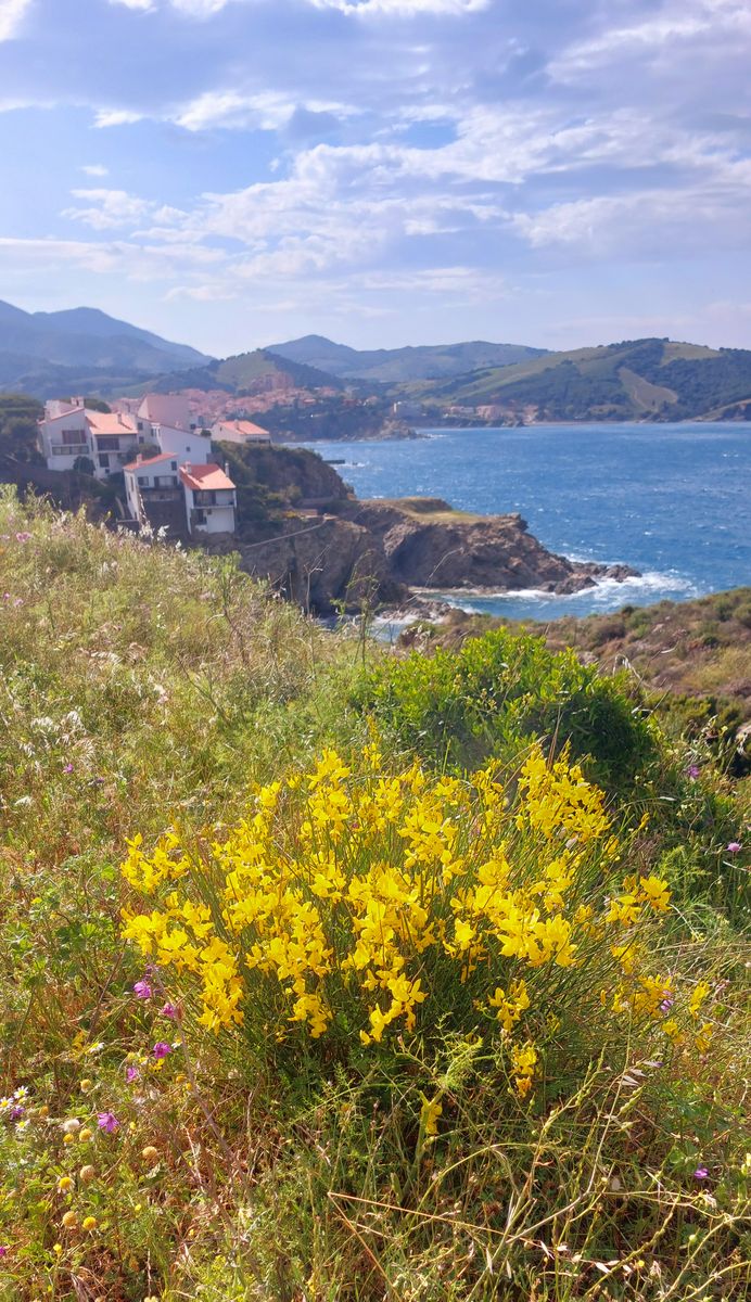 25-05-2025 Photos M. Vignau – Côte Vermeille (J1 : de Cerbère à Banyuls) avec T. Coumel
