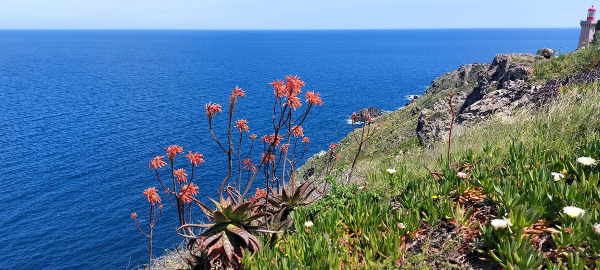 25-05-2025 Photos M. Vignau – Côte Vermeille (J2 : de Banyuls à Collioure) avec T. Coumel