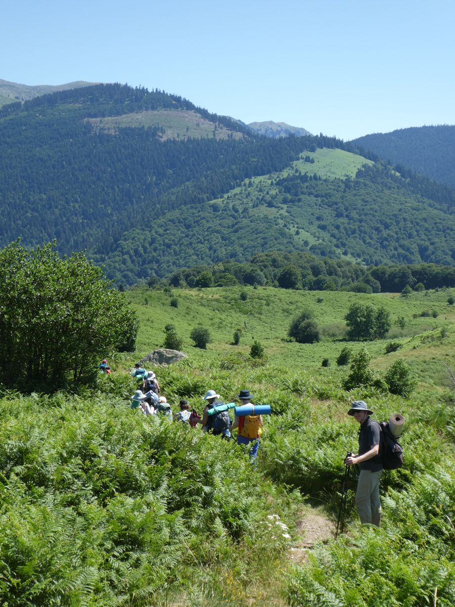 29-06-2025 Photos F. Daligaux – Rando sophrologie près du plateau de la Cabanette avec M. Montesinos et P. Martin