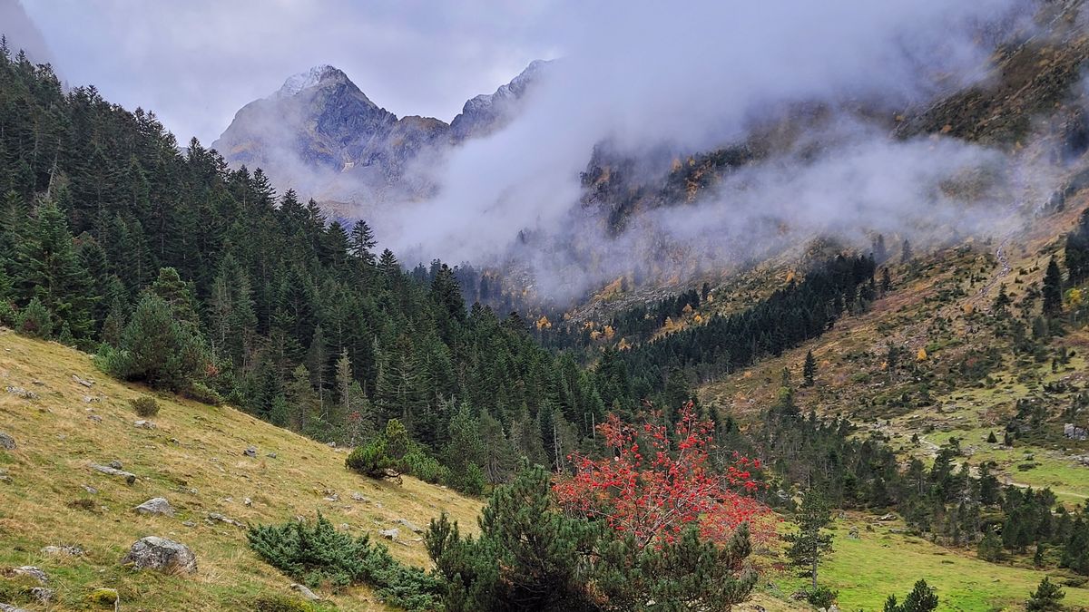 25-10-2025 Photos J.-M. Lafitte – Refuge Russel avec J.-L. Dandré et P. Dionnet