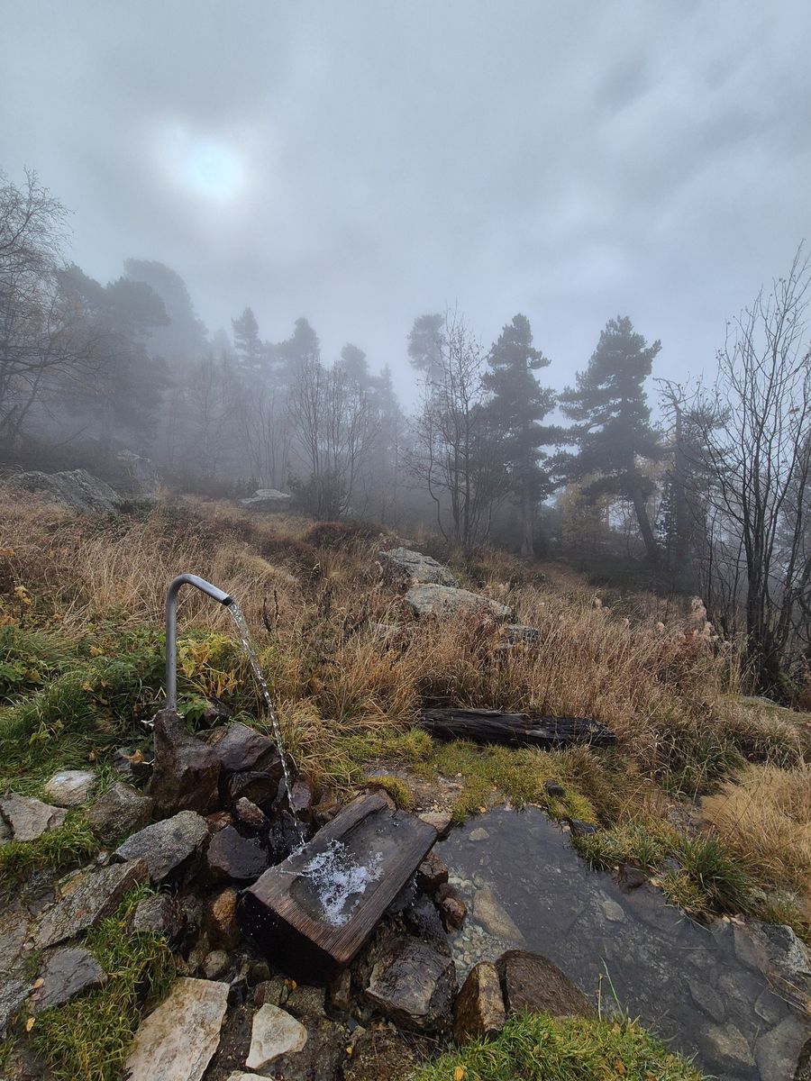 25-10-2025  Photos S. Fraysse – Refuge Russel avec J-L. Dandré et P. Dionnet