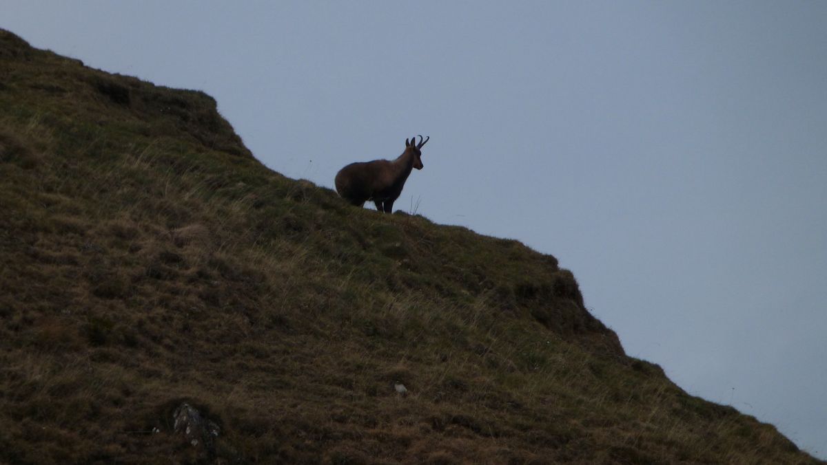 05-11-2025 Photos A. Astuguevieille – Pic de Chérue par la cabane de Saoubiste avec G. Save et C. Malet