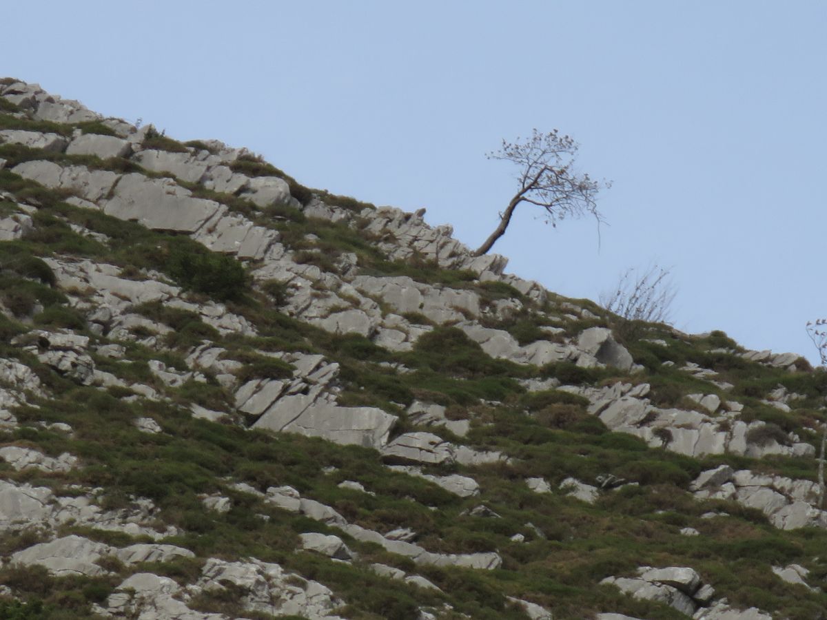 05-11-2025 Photos J-M.Deladerrière – Balcon du Pibeste avec S.Mas et S.Bourdet