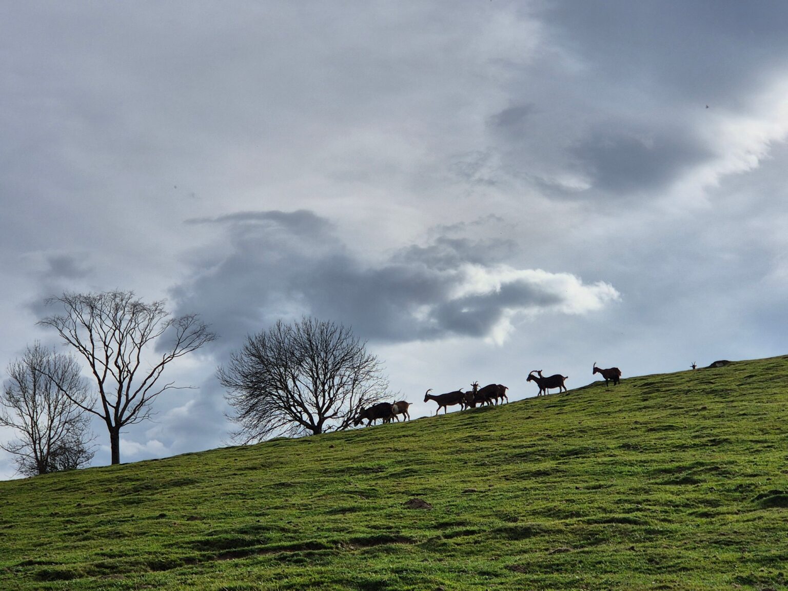 05-11-2025 Photos S. Fraysse – Le balcon du Pibeste avec S. Mas et S. Bourdet