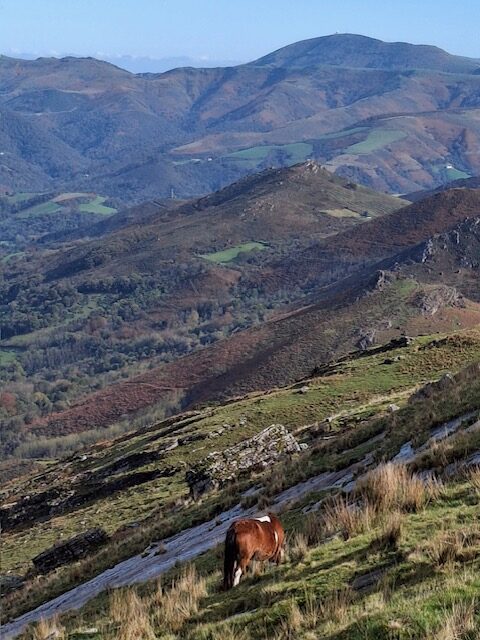 09-11-2025 Photos P. Ford – L’Atxuria en boucle par Zugarramurdi avec T. Coumel et H.-P. Manchoulas