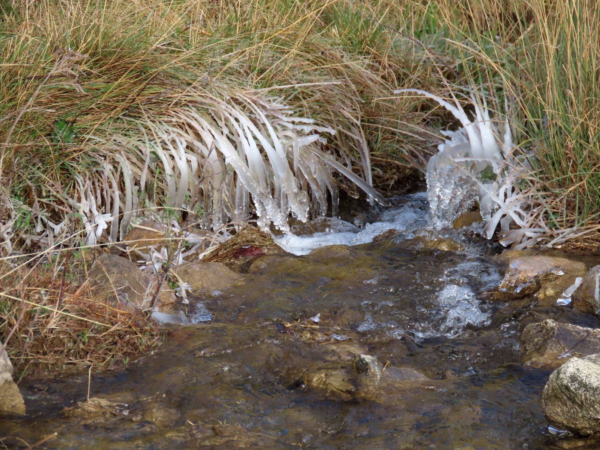 19-11-2025 Photos J.Février – La Litbère avec S.Mas et M-J.Barcos