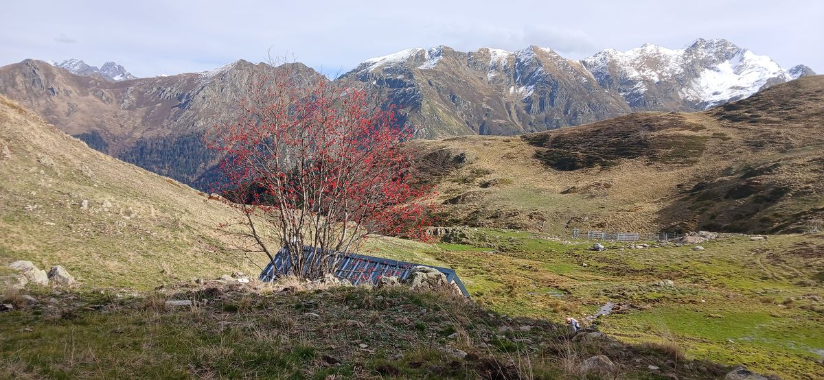 12-11-2025  Photos A-M. Bonneau – Col de Lavigne avec D. Cavero et E. Sergent