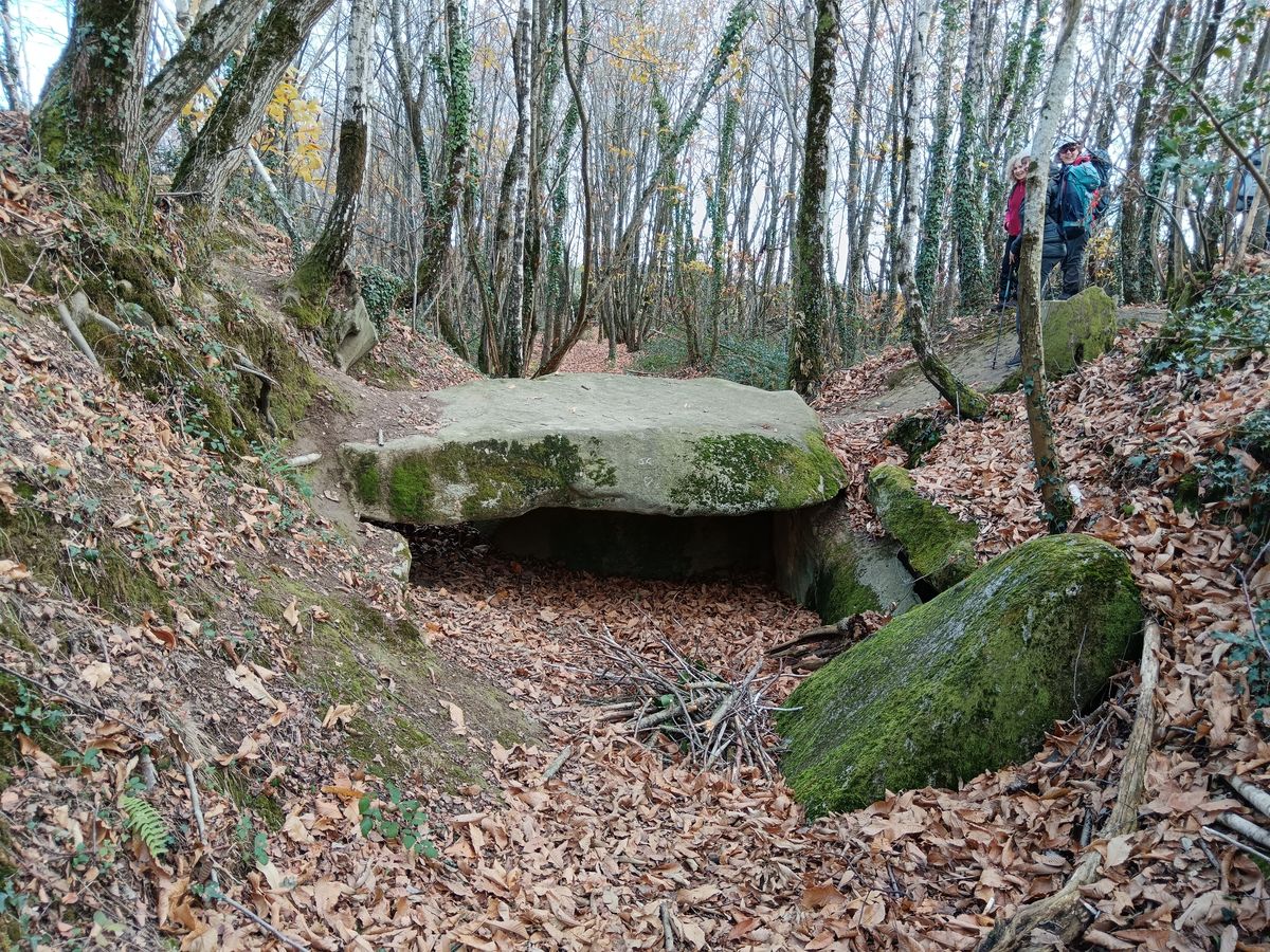03-12-2025 Photos J-M.Deladerrière – La forêt d’Ossun et le dolmen de Pouey Mayou avec J-M.Deladerrière et S.Robitaille