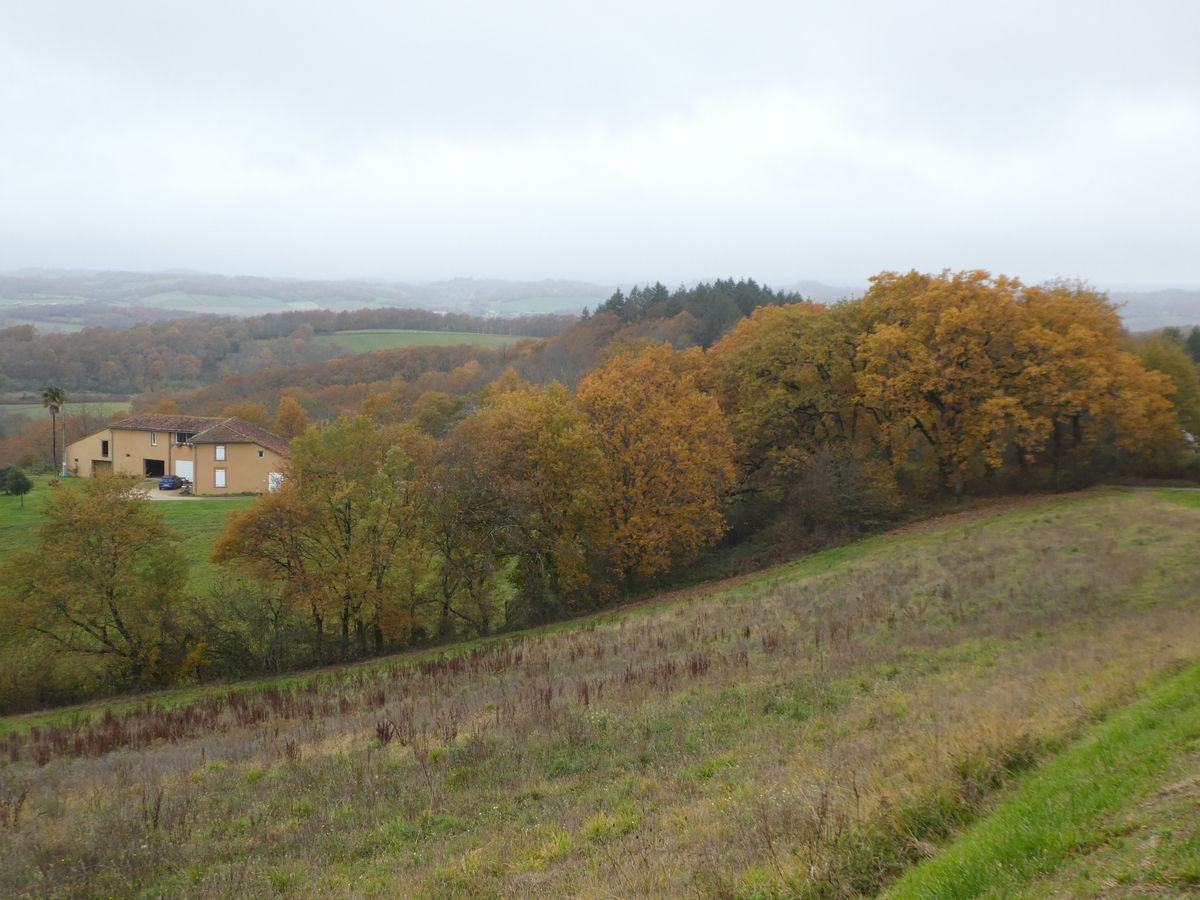 06-12-2025 Photos F. Daligaux – Crêtes de Mazerolles (65) avec M. Jorda et M. Castelain