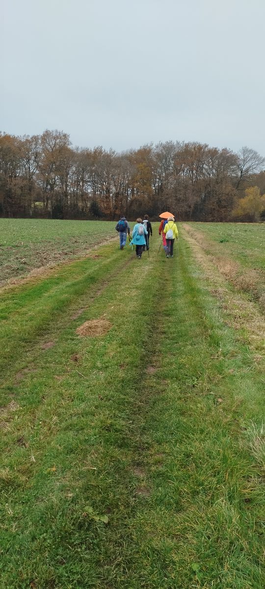 06-12-2025 Photos J-B.Dessauve – Ger, le menhir, avec B.Canut-Rocafort