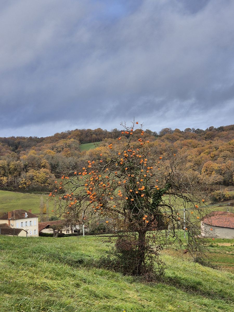 06-12-2025  Photos S. Fraysse – Crêtes de Mazerolles avec M. Jorda et M. Castelain