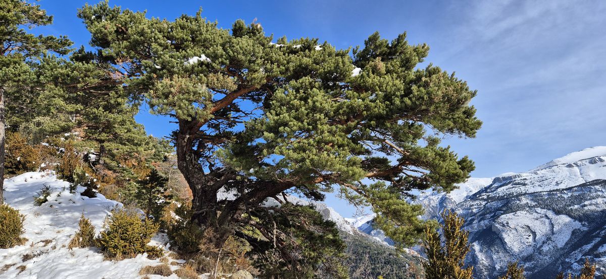 11-01-2026 Photos B. Triboult – Alto de la Rapeda avec J.-P. Capin et M.-C. Clarenn