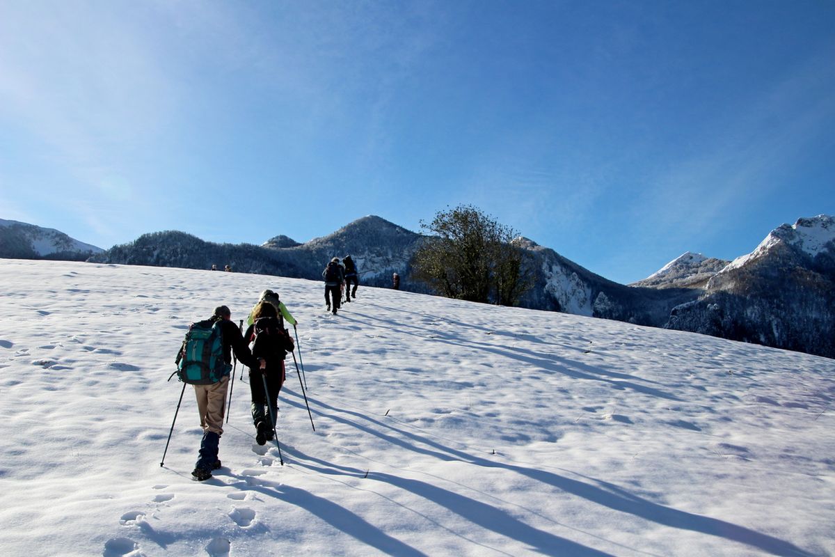 11-01-2026 Photos L. Ribas – Cabane de Guiche avec L. Ribas et G. Saliou