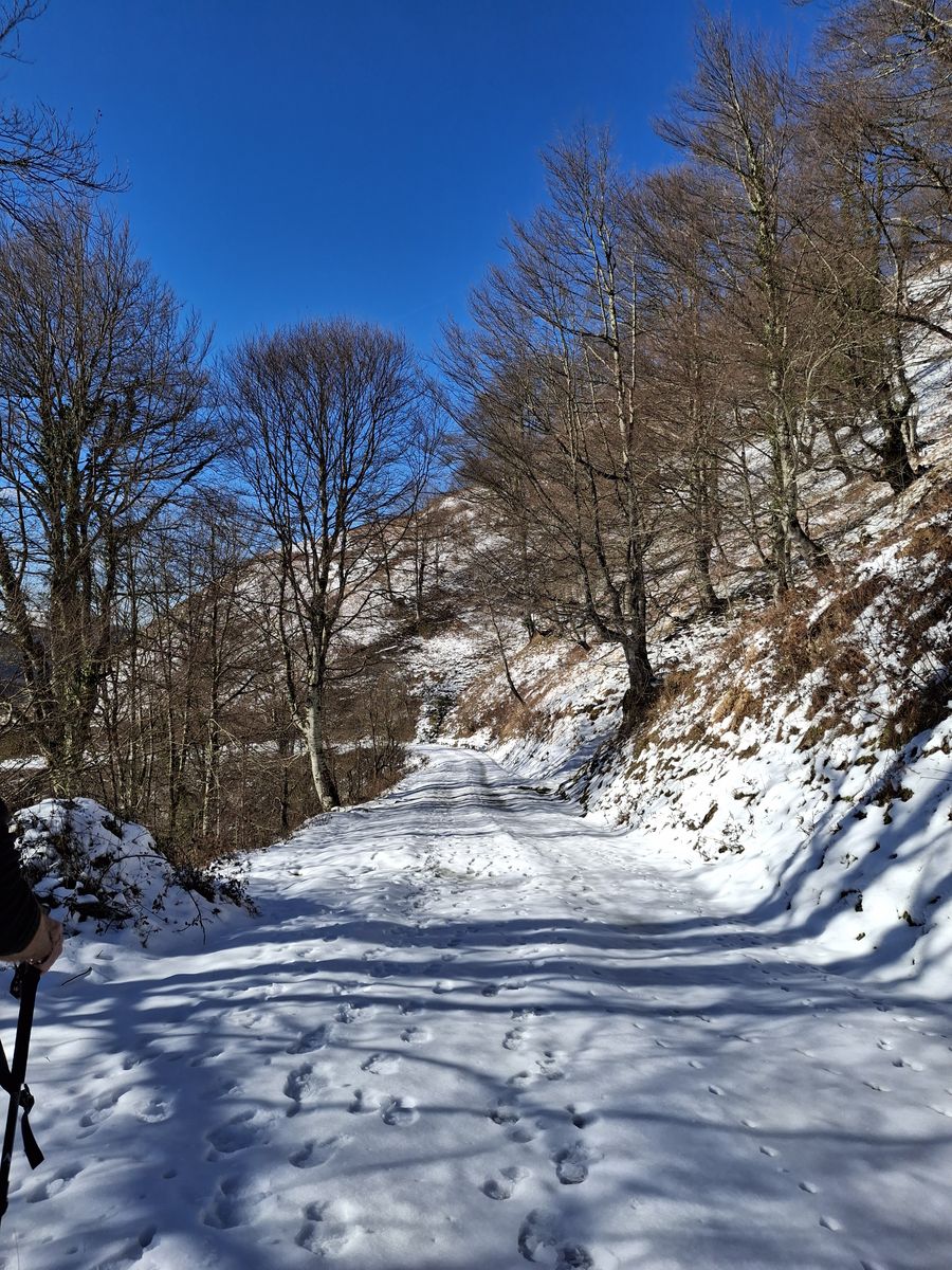 11-01-2026 Photos P. Ford – Cabane de Guiche avec L. Ribas et G. Saliou