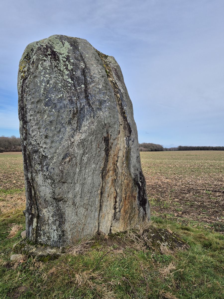 24-01-2026 Photos S. Fraysse – Menhir de Ger avec S. Mas et M. Eymard