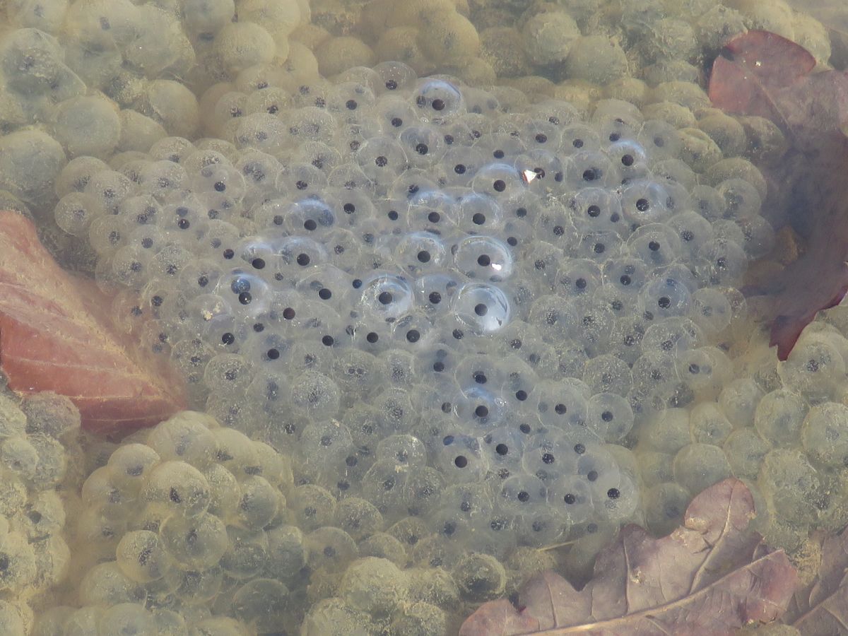 28-01-2026 Photos J-M.Deladerrière – Bize, le circuit de la Courade avec J-M.Deladerrière et J-P.Cantegreil