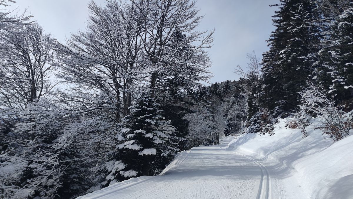 28-01-2026  Photos G. Save – Ski de fond à Couraduque avec G. Save