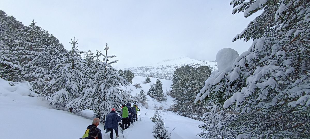 04-02-2026 Photos P. Vaquié – Refugio Gabardito avec J. Houlier et L.-J. Benito