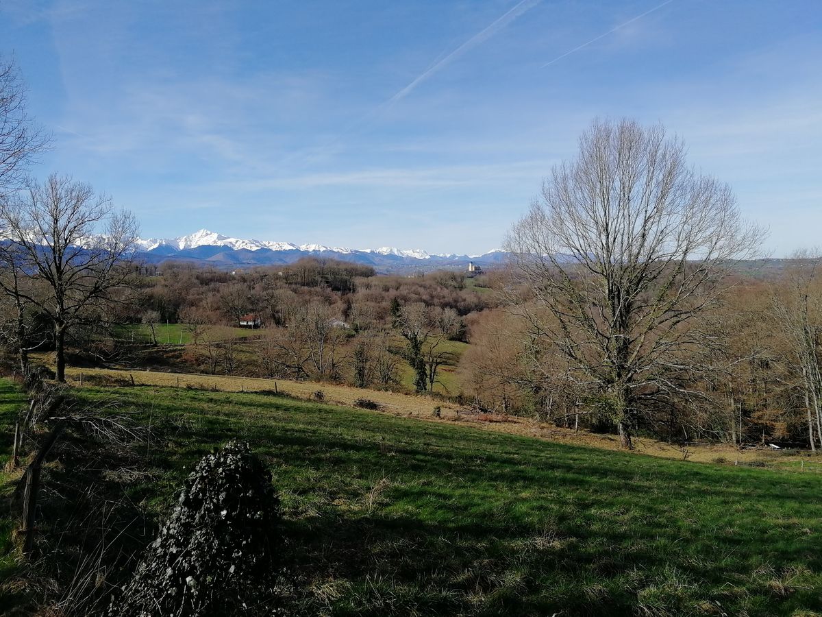22-02-2026 Photos G. Colmache – De Capvern-les-Bains au château de Mauvezin avec M. Compagnon et M. Castelain