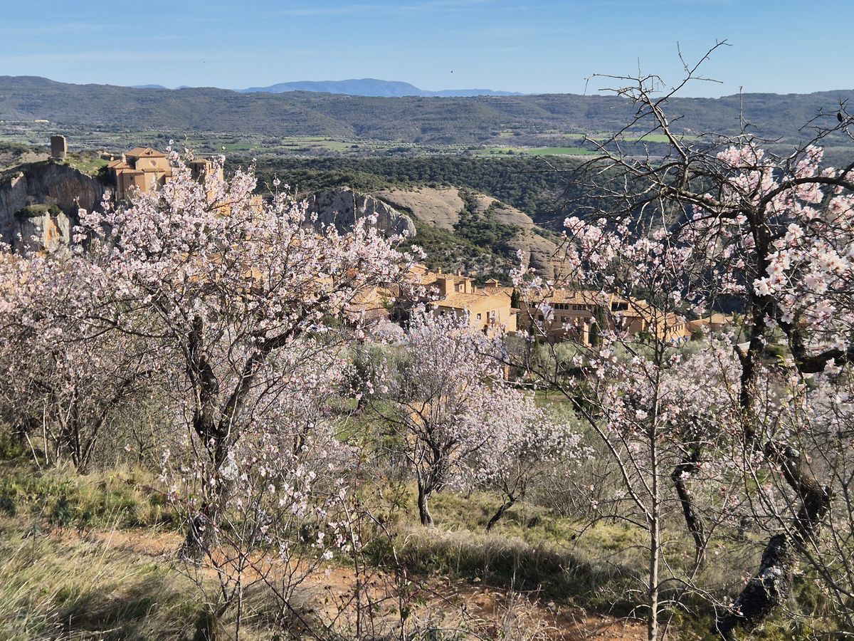 20/22-02-2026 Photos S. Fraysse – Séjour en Sierra de Guara avec F. Ribas et H. Latowski (J3 : les abris de Quinzas en boucle)