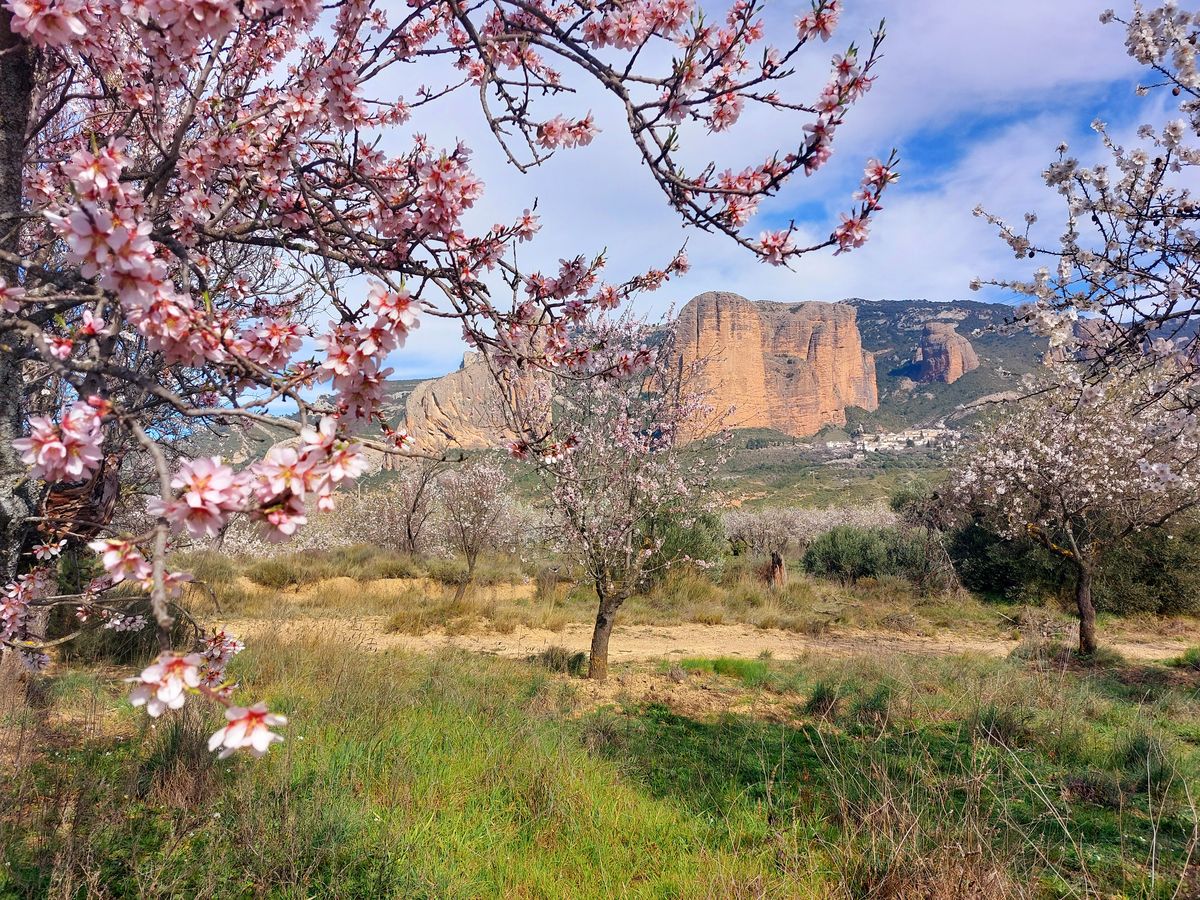 27-02/01-03-2026 Photos M. Vignau – Séjour à Riglos avec F. Ribas et J.-J. Cazala (J1 : tour des mallos de Agüero)