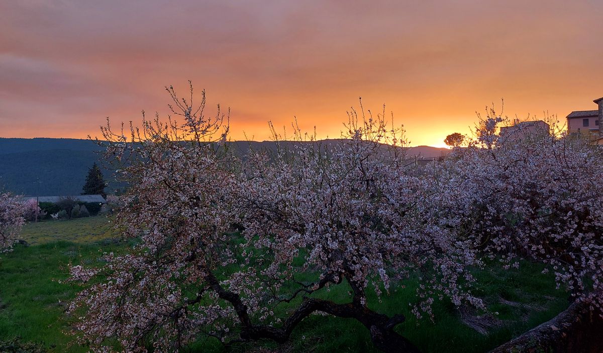 27-02/01-03-2026 Photos M. Vignau – Séjour à Riglos avec F. Ribas et J.-J. Cazala (J2 : tour des mallos de Riglos)