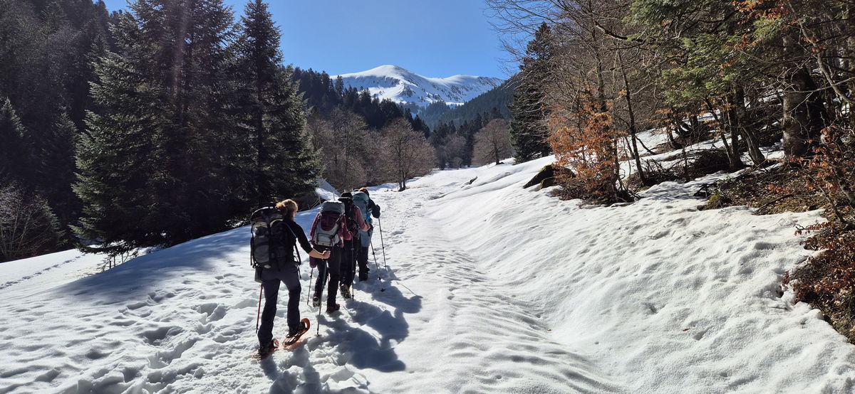 01-03-2026 Photos B. Triboult – Vallée de Bareilles aller-retour jusqu’à 1 575 m sans passage à la cabane du Dr Pic avec J. Cazaubon et M. Dupouy