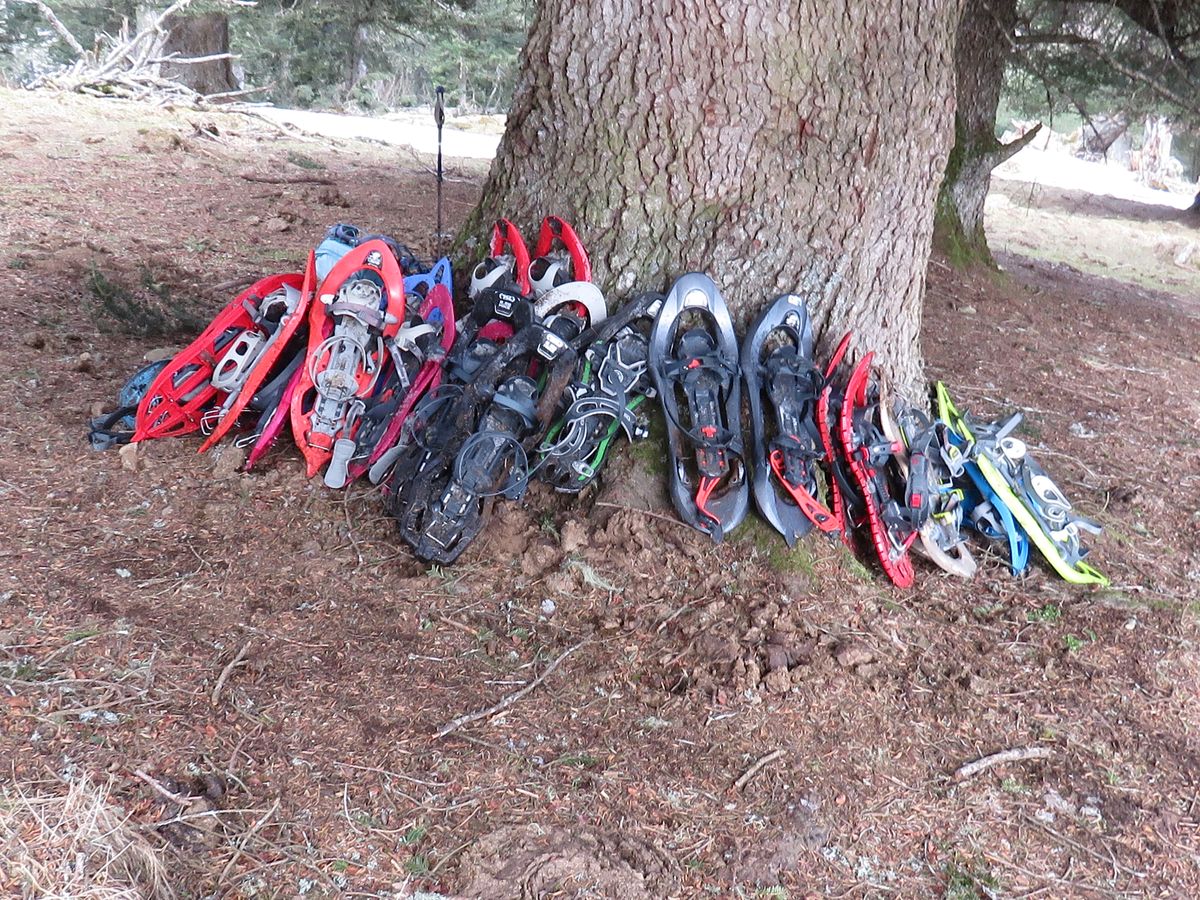 04-03-2026 Photos J-M.Deladerrière – Vers la crête de Conques avec J-M.Deladerrière et C.Ridou