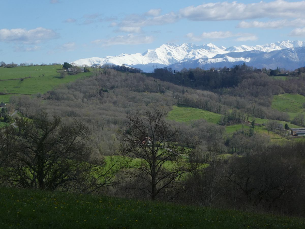 15-03-2026 Photos F. Daligaux – Boucle du chemin de Paillassa avec M. Castelain et M. Compagnon