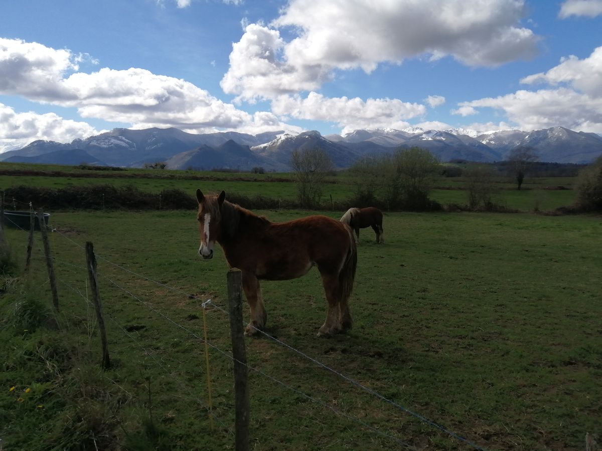 15-03-2026 Photos J.-Y. Hervé – GR 101 Etape 6/8 Miramentès – Cap de La Serre avec H. Latkowski et J.-P. Joly
