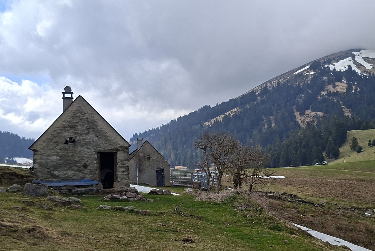 22-03-2026 Photos F. Darré – Histoire d’un ruisseau, Beyrède (géologie) avec C. Lucas et F. Sayous