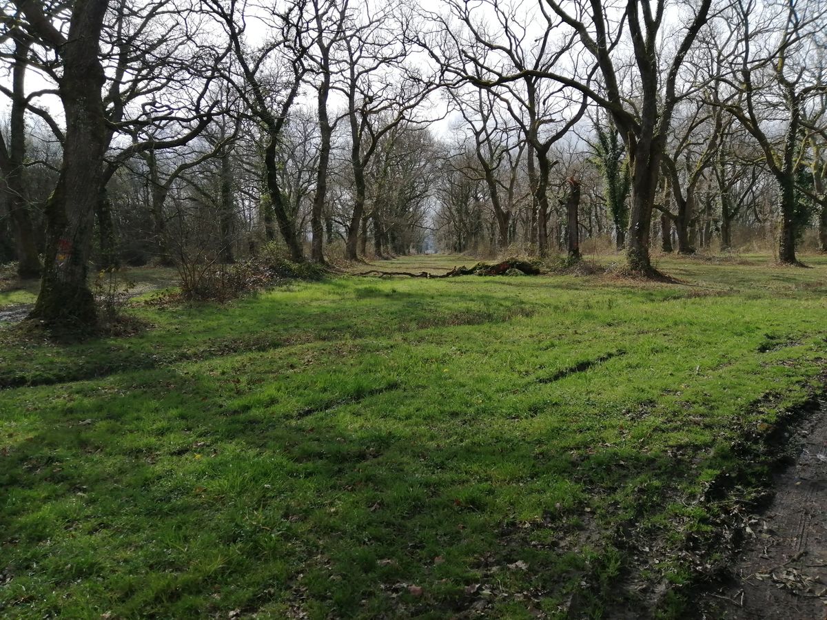 07-03-2026  Photos J-Y. Hervé – GR101 étape 5/8 Pintac – Miramentès avec H. Latkowski et J-P. Joly