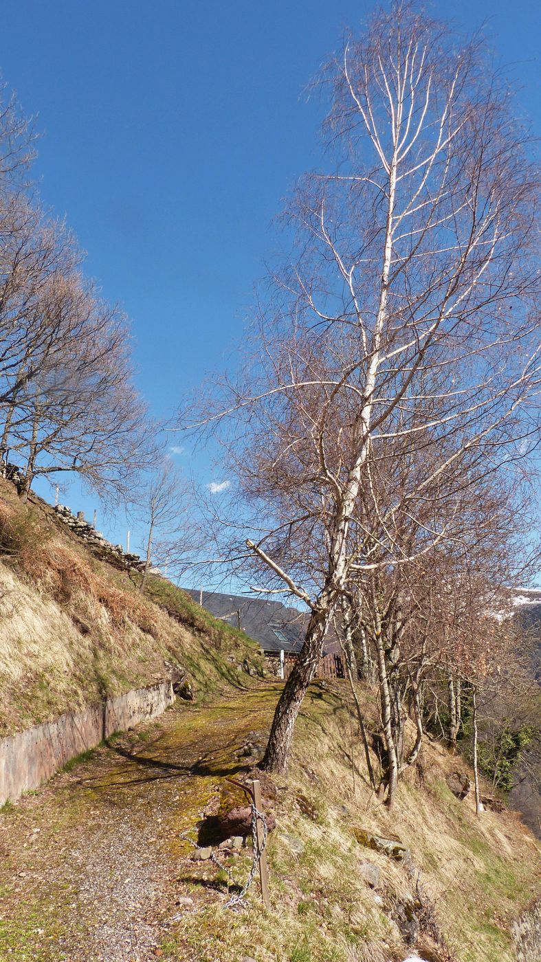 12-03-2026  Photos A. Astuguevieille – Crête du col de Lagréou avec M. Hourquet et J-J. Cazala.