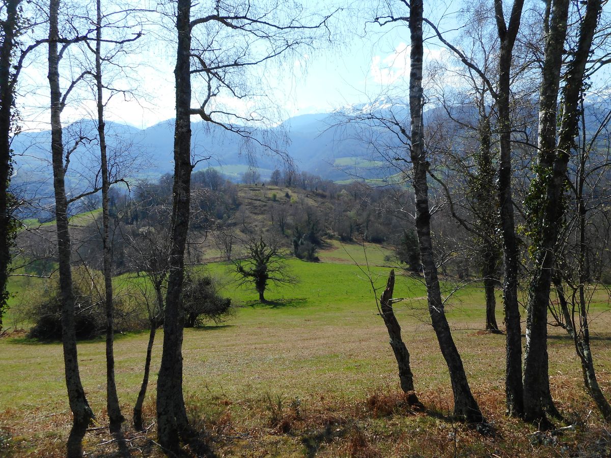 21-03-2026  Photos M. Jorda – Boucle du Camp de César depuis Pouzac avec M. Jorda et S. Fraysse