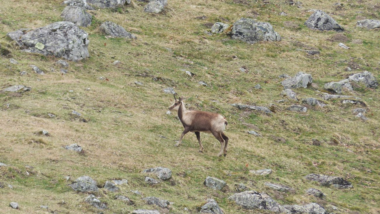 22-03-2026  Photos A. Astuguevieille – Cabane de Pédain avec E. Batguzère et J. Houlier