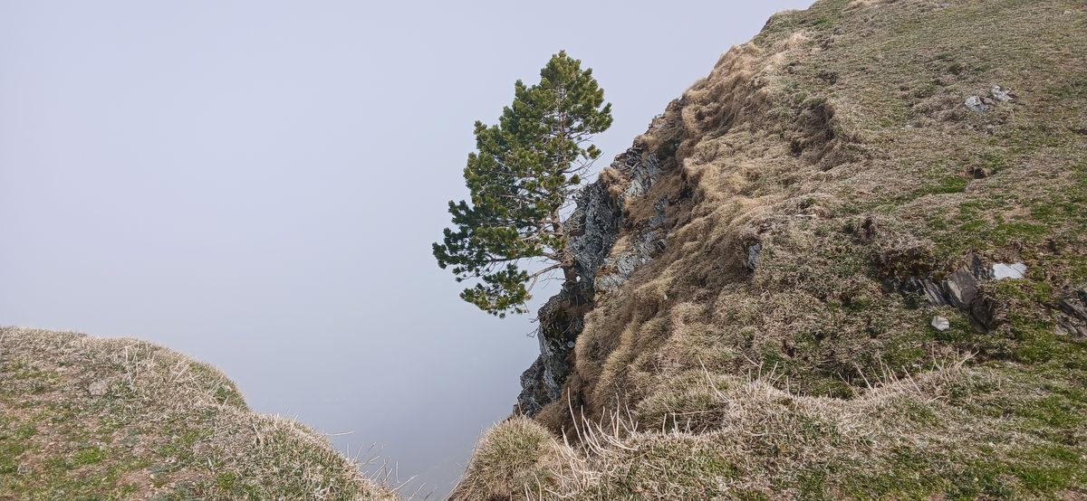 25-03-2026  Photos A-M. Bonneau – Pla de las Pénès avec J-M. Deladerrière et A-M. Bonneau