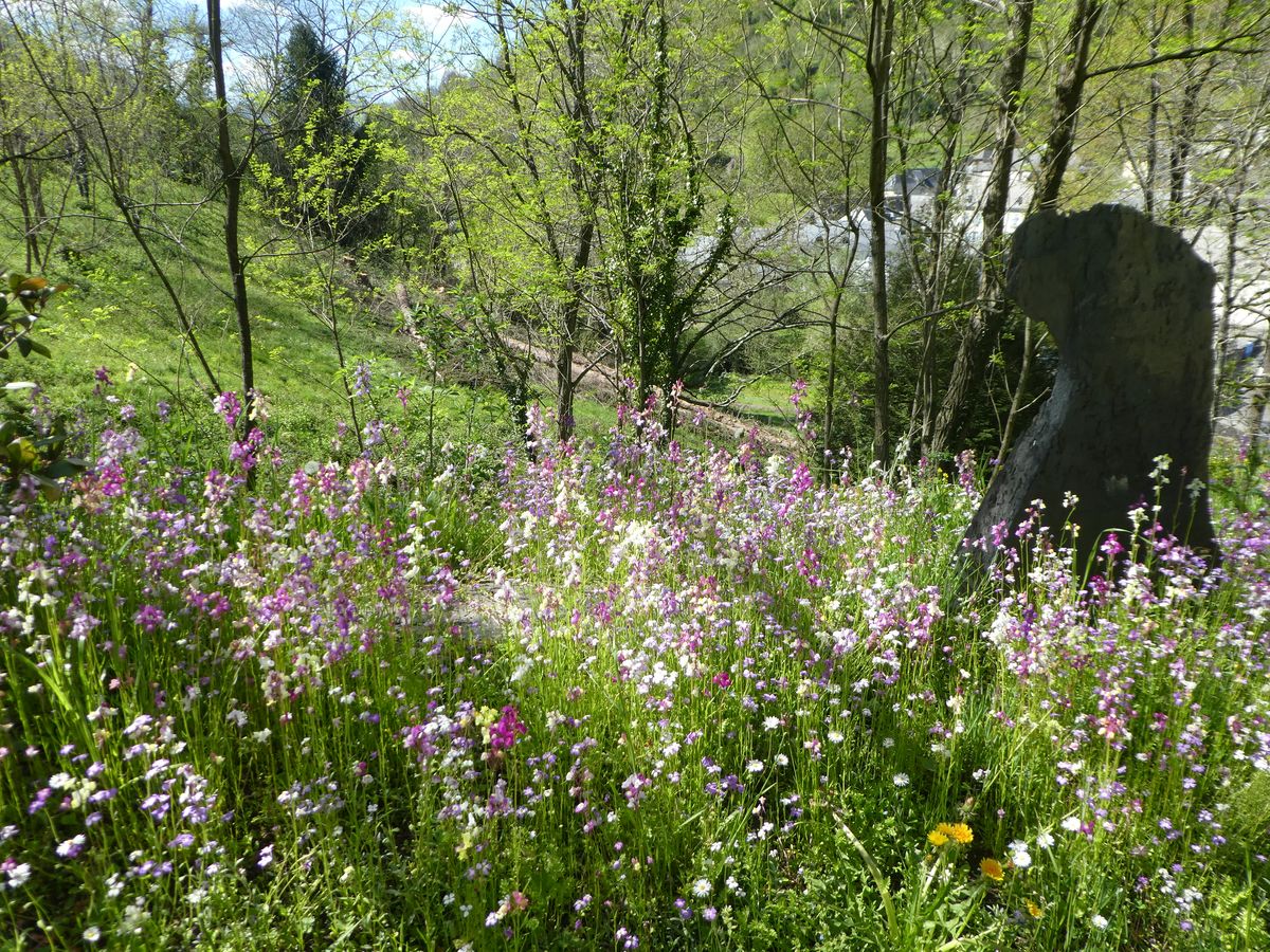 15-04-2026 Photos F. Daligaux – Circuit n° 8 Juncalas-Cheust-Ourdis Cotdoussan avec J. Cazaubon et E. Labat