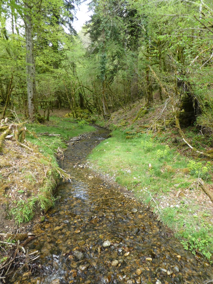 19-04-2026 Photos F. Daligaux – Histoire d’un ruisseau, Bouchidet, Hèches avec C. Lucas et F. Sayous