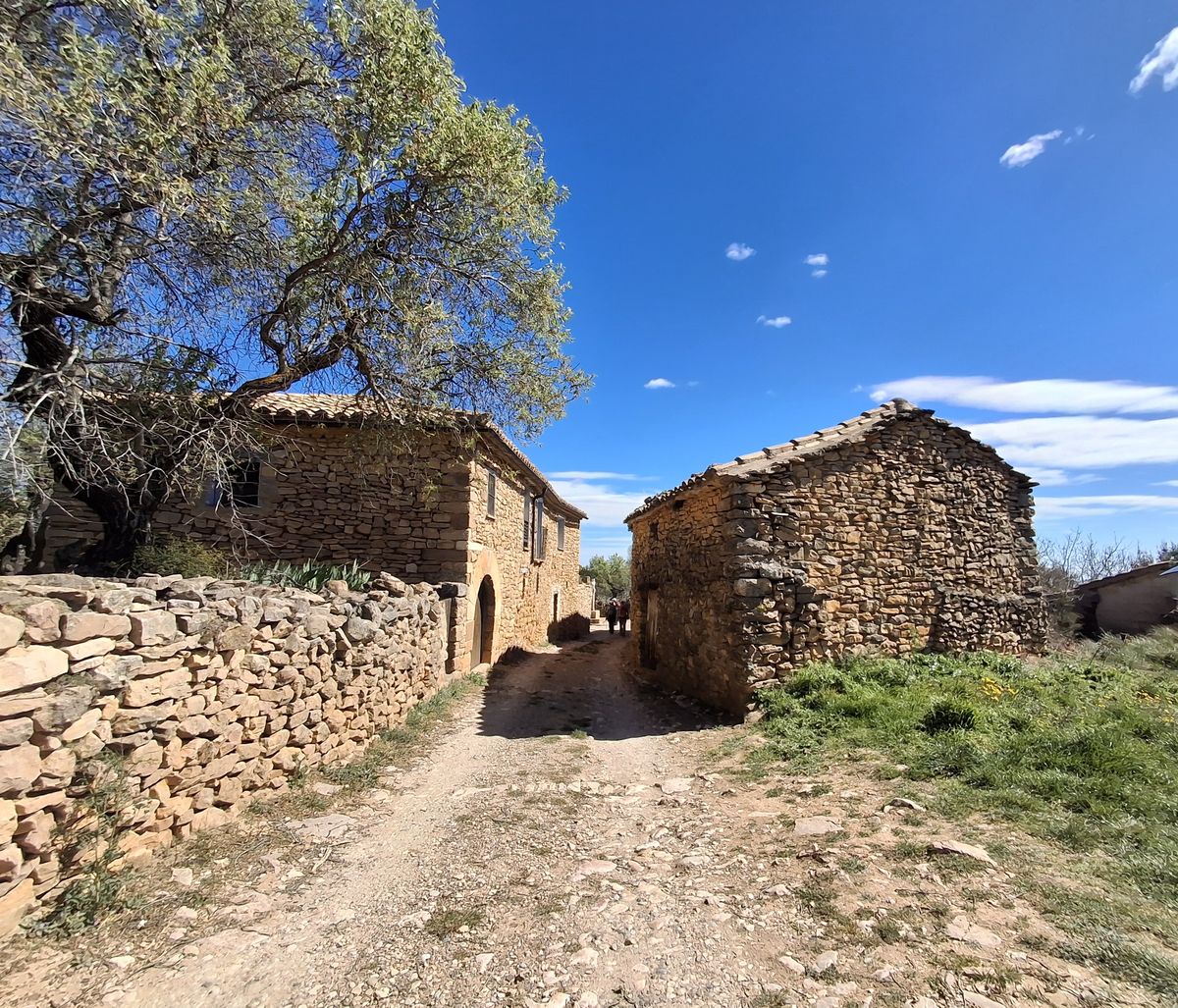 29/31-03-2026 Photos P. Ford – Séjour en Sierra de Guara avec M. Saux et D. Dyé (J2 : abri et peinture rupestre de Chimiachas)