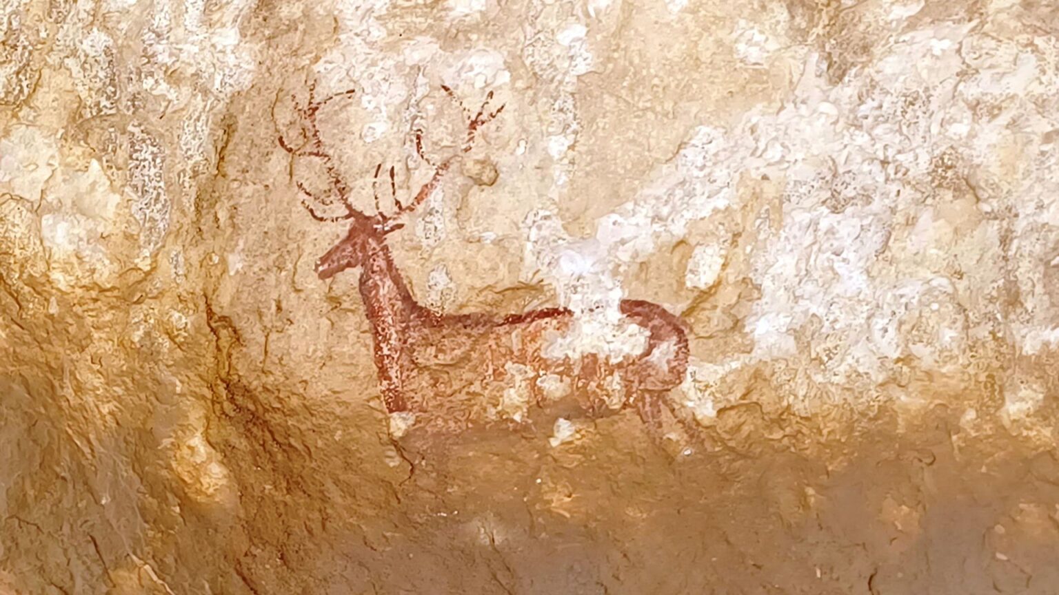 29/31-03-2026  Photos D. Dié – Séjour Sierra de Guara – jour 2 – Abri et peinture rupestre de Chimiachas avec M. Saux et D. Dié