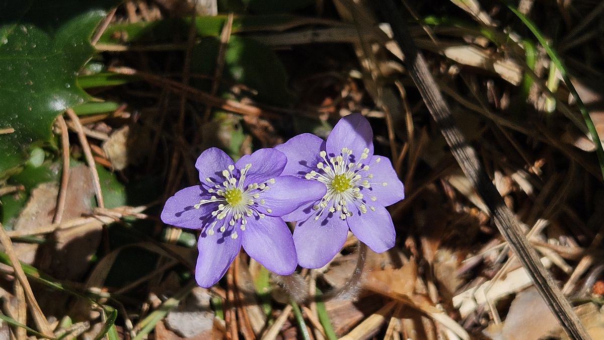 04-04-2026 Photos I. Pène – Cubilar de las Vacas en boucle avec J.-P. Capin et M.-C. Clarenn