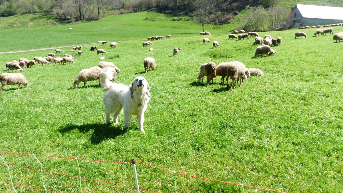 05-04-2026 Photos A. Astuguevieille – Cabane Soum des Tracées depuis Berbérust-Lias avec J. Houlier et M. Carquet