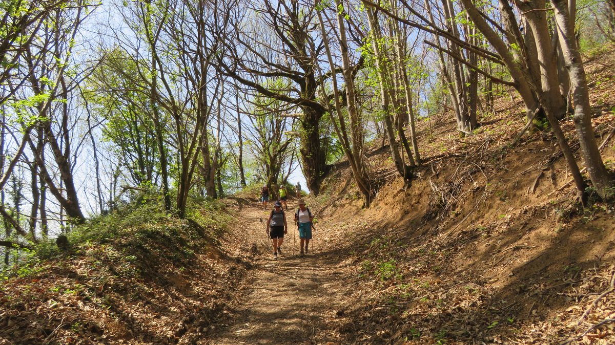 08-04-2026 Photos M.Hourquet – Ursuya en boucle depuis Macaye avec M.Hourquet et J-M.Lafitte