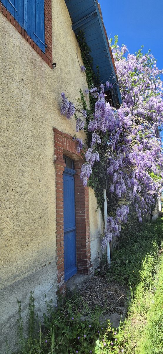 08-04-2026 Photos S. Fraysse – BALISAGE – GR 653 de Lahitte-Toupière à Vidouze avec A. Montesinos