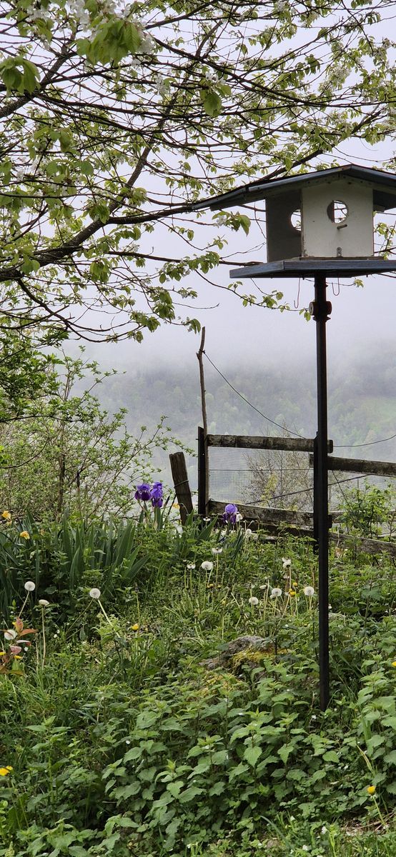 11-04-2026 Photos S. Fraysse – D’Argelès-Gazost à Arcizans-Dessus (balisage) avec J.-M. Deladerrière et C. Ridou